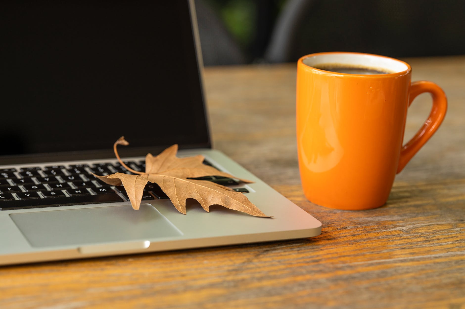 A laptop sits open with a leaf on top and an orange cup of coffee on the side