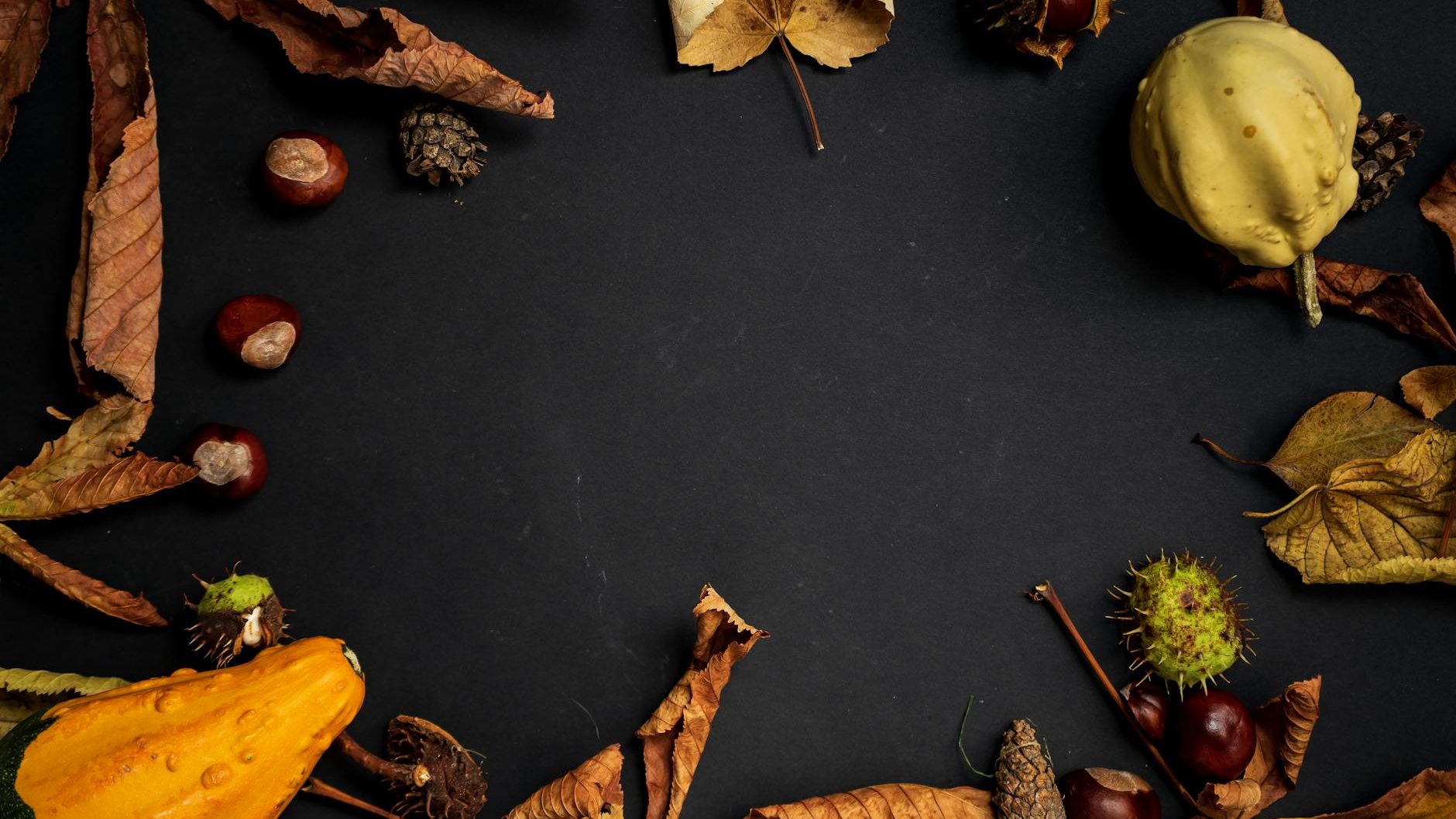A circle of leaves and gourds against a black backdrop